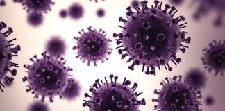 Ученые хотят закрыть "проход" от вируса гриппа