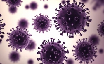 Ученые хотят закрыть "проход" от вируса гриппа