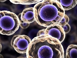 Медики начнут использовать кровяные тельца для лечения рака Медики начнут использовать кровяные тельца для лечения рака