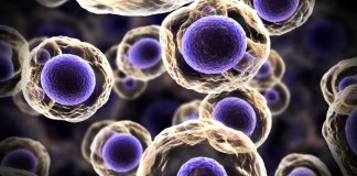 Медики начнут использовать кровяные тельца для лечения рака