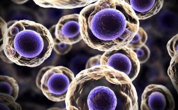 Медики начнут использовать кровяные тельца для лечения рака Медики начнут использовать кровяные тельца для лечения рака