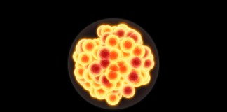 Химики подтвердили открытие четырех новых ядерных элементов