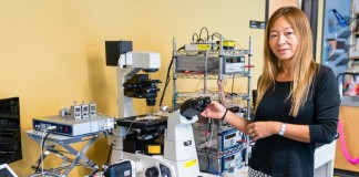 Ученые разработали более действенный метод криоконсервации