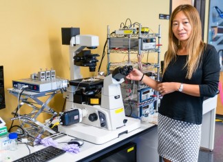 Ученые разработали более действенный метод криоконсервации Ученые разработали более действенный метод криоконсервации