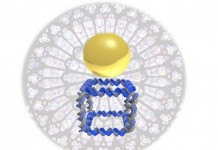 Ученые создали ДНК-печать