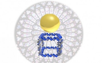 Ученые создали ДНК-печать Ученые создали ДНК-печать