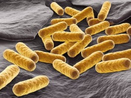 Часть смертельных заболеваний будут лечить квантовыми частицами