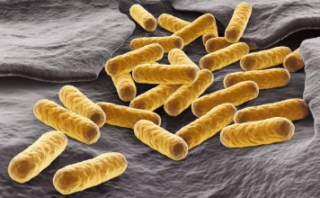 Часть смертельных заболеваний будут лечить квантовыми частицами