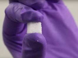 Группа ученых создала нетипичный адаптивный композит Группа ученых создала нетипичный адаптивный композит