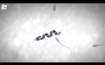 Создан экзоскелет для сперматозоида