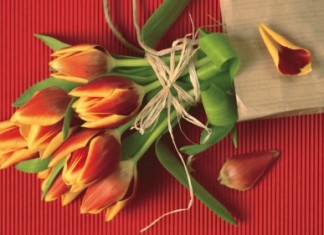 Одарим женщин к 8 марта