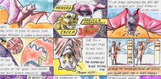 Пример летучей мыши подтолкнул ученых к истреблению вирусов