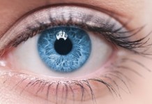 Очередной эксперимент с редактором гена закончился положительно