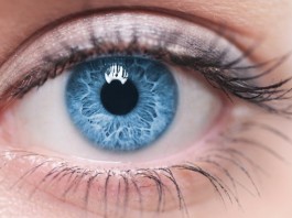 Очередной эксперимент с редактором гена закончился положительно