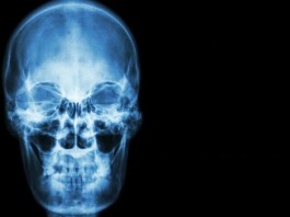 Ученые научились восстанавливать организм стволовыми клетками