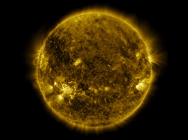 NASA показало год из жизни Солнца