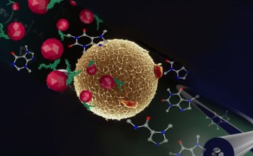 Доктора хотят лечить рак наночастицами и светом Доктора хотят лечить рак наночастицами и светом