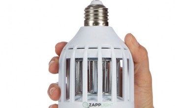 Разработан грубый метод борьбы с вирусом Зика (видео) Разработан грубый метод борьбы с вирусом Зика