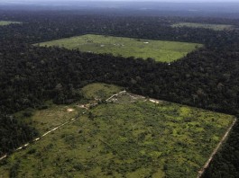 Ученые из Стэнфорда нашли «рецепт» экологической безопасности