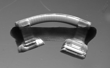 Ученые учатся перемещать биороботов по организму синим светом Ученые учатся перемещать биороботов по организму синим светом