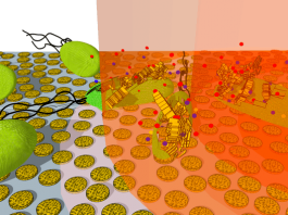 На борьбу с инфекциями отправят золото