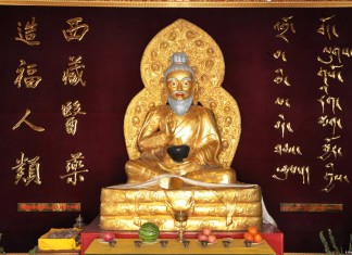 Эффективность тибетской медицины