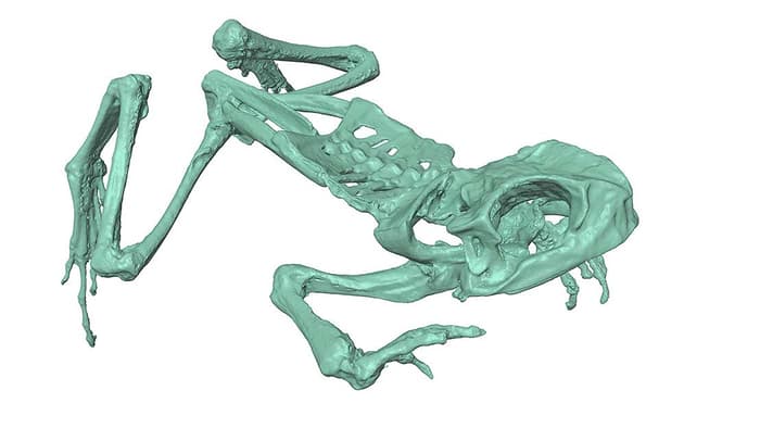 На 3D печати научились детально печатать кости