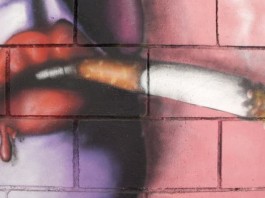 Австралийские ученые предлагают делать кирпичи из окурков