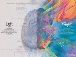 Коммуникативные навыки — какое полушарие важнее?