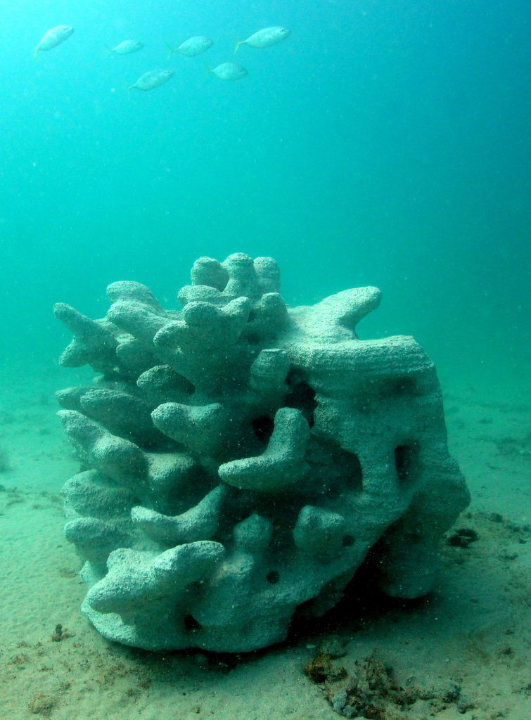 Для спасения Большого кораллового рифа начнут использовать 3D печать