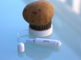 Разработана первая в мире система безопасности работающая от картофеля