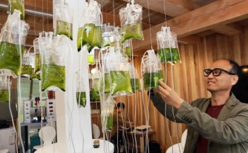 В Южной Корее появился общественный туалет-лаборатория