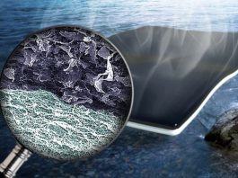 Создана биопленка для производства пресной воды