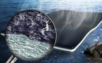 Создана биопленка для производства пресной воды