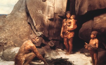 Неандертальцы использовали кости соплеменников как инструмент