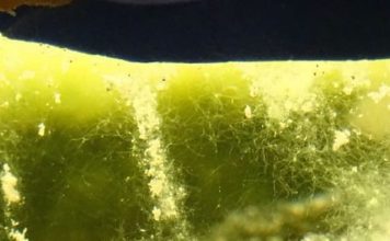 Ученые разработали «умные» кирпичи