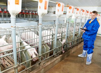 Специализированные товары для фермы высшего качества! Кормушки