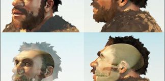 Неандерталец