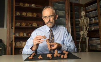 Ученые выяснили от чего умерла «проматерь человечества»