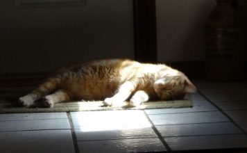 Часть загара на коже оставляет Млечный путь