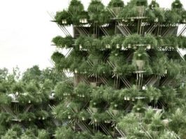 Фирма Penda построит огромный бамбуковый дом