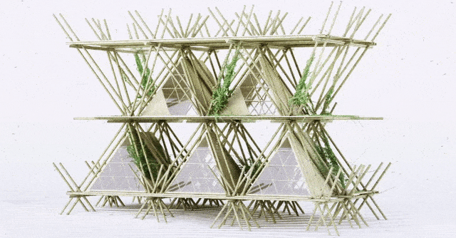 Фирма Penda построит огромный бамбуковый дом