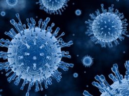 Отулипения