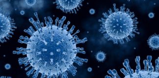 Отулипения