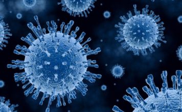 Отулипения