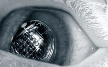 Для игроков Pokémon Go могут создать интерактивные линзы