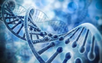 Найдены гены ответственные за старческие заболевания