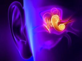 Разработан уникальный инструмент для диагностики ушных заболеваний Отоларингология