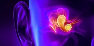 Отоларингология