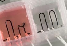 Созданы материалы для печати органов